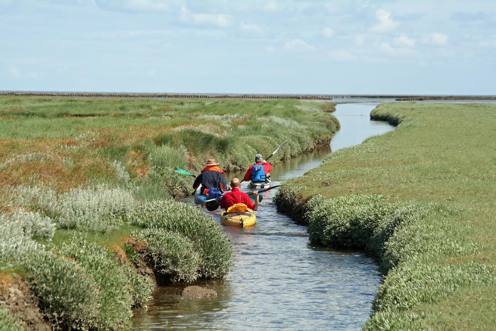 פיטרבורן Waddenhoes Gastenverblijven מראה חיצוני תמונה